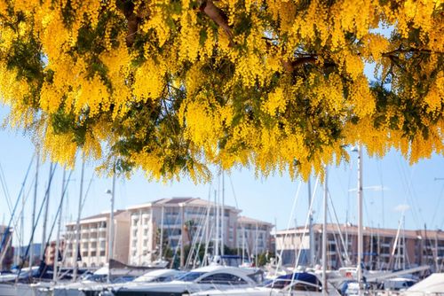 Ces villes et petits villages du sud de la France sont réputés pour leur beauté et leurs qualités environnementales irréprochables ! Voici où les trouver