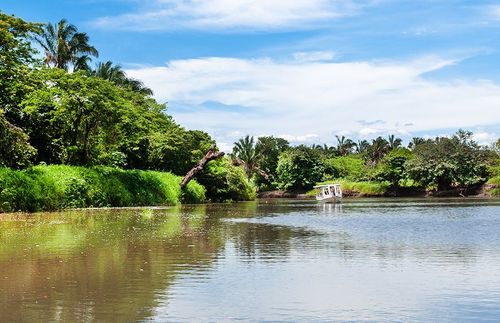 Surnommée “La ville des fleurs”, découvrez Heredia et sa province au Costa Rica !