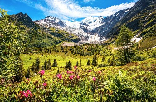 5 bonnes raisons de choisir la montagne plutôt que la mer cet été !