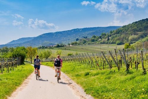 Märchen, Romantik, Wein: 3 schöne Routen um Deutschland zu entdecken