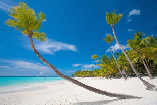 10 giorni nel paradiso blu di Zanzibar