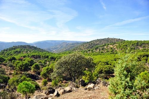 Évasion naturelle : les randonnées inoubliables de la Sierra Morena à Cordoue