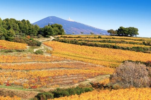 Mont Ventoux and its wonders
