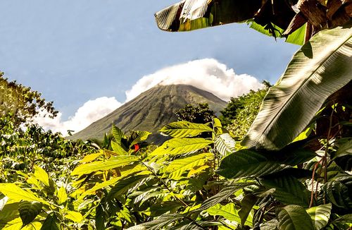 Au cœur de la nature, ces 3 plantations de cafés sont à visiter lors d’un voyage au Costa Rica (et vous pourrez même y dormir !)