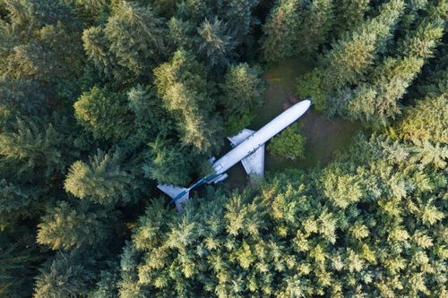 Que fait cet avion caché au beau milieu d'une forêt américaine ?