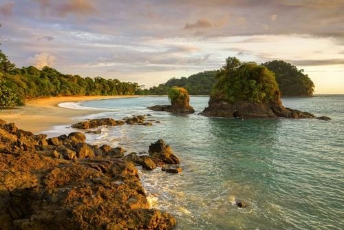 Costa Rica : 4 plages cachées et méconnues des voyageurs à découvrir dans la province de Puntarenas