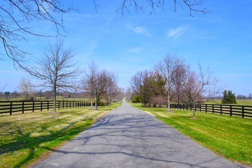 Surnommée "la capitale du cheval", cette ville du sud des Etats-Unis regorge de pépites à découvrir entre nature et vie urbaine !