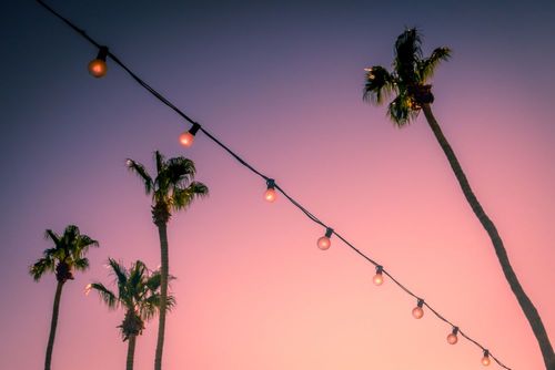 Il n’y a pas que Coachella aux États-Unis ! Voici 3 festivals californiens tout aussi impressionnants