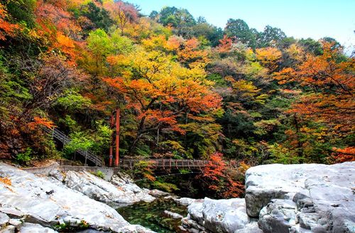 A 30 minutes d’Osaka, cette destination méconnue offre des paysages naturels authentiques (entre rizières, gorges et vallées)