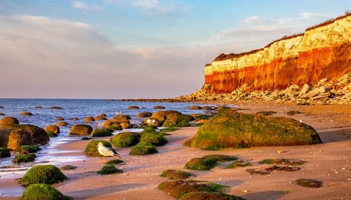 Avec ses falaises multicolores et ses plages de sable fin, cette station balnéaire est à découvrir lors d’un voyage en Angleterre au printemps