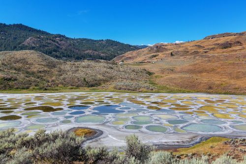 Connaissez-vous le Spotted Lake ? C'est l'un des lacs les plus étranges de la planète !