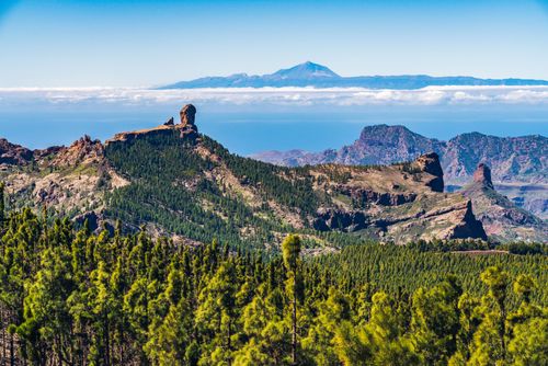 Bestaunen Sie die Formen der Natur vom Roque Nublo aus
