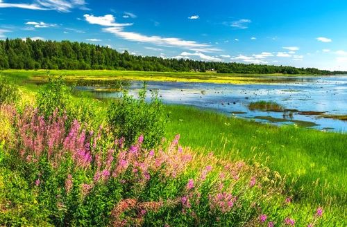 Cet été, pour fuir la foule et la chaleur, direction cette île suédoise qui promet une retraite sauvage et naturelle