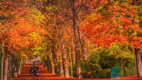 Destinos en España que son mucho mejor en otoño