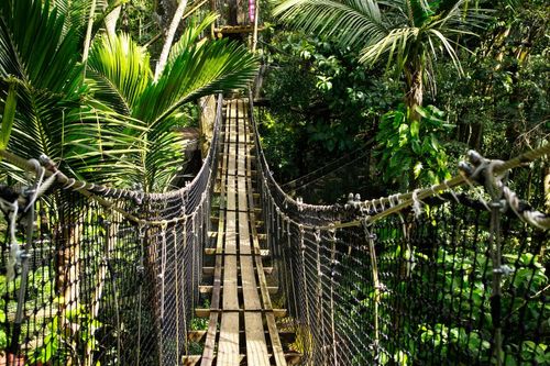 Scoprite la flora e la fauna locali al parco zoologico e botanico di Mamelles