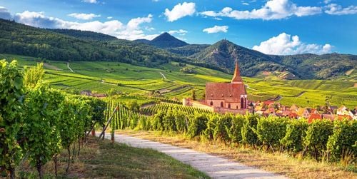 Sulla strada del vino dell'Alsazia