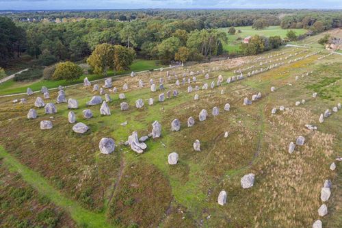 Descubra el Museo de Prehistoria de Carnac