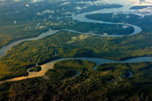 Parco del Corcovado, con la sua flora e fauna uniche