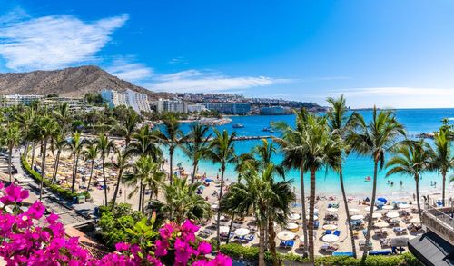 It’s Beaches and Parties Galore: Here’s why you should ditch Ibiza and head to Gran Canaria instead.