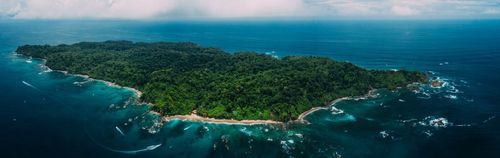 L'incomparabile biodiversità di Isla del Caño