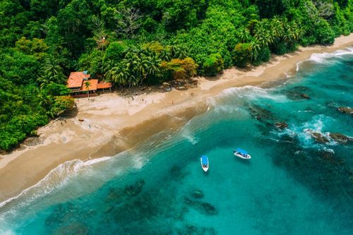 Apprécié pour ses paysages paradisiaques, sa faune et sa flore préservés, le Costa Rica est la destination écotouristique à visiter en 2024 !
