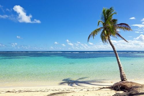 Lagons, plages de sable blanc, volcan... voici 5 spots qui font la renommée de la Guadeloupe !