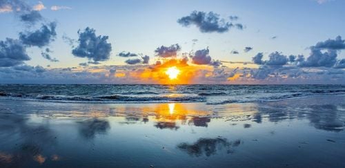 Dünen, Watt und Meer: Die Insel Rømø als Hundeparadies 