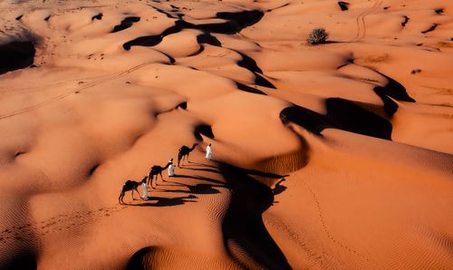 Alla scoperta del deserto di Sharqiya Sands, in Oman