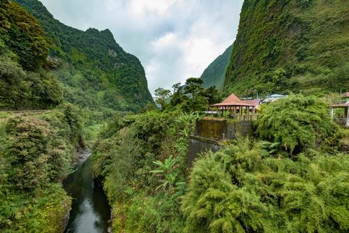 Explorar Bélouve, la selva encantada