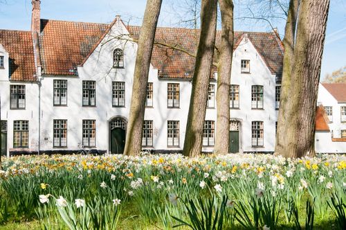 Visit the Bruges beguinage, a haven of peace in the heart of the city