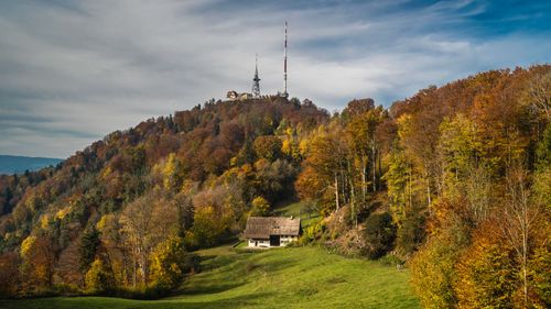 Passeggiata sul monte Üetliberg, a est di Zurigo