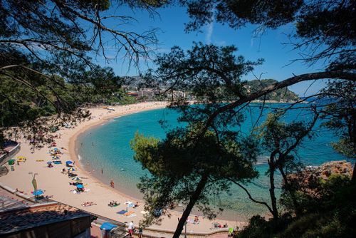 Costa Brava : entre jeux aquatiques et parcs d'attractions ou d'aventure, voici 3 idées d'activités à sensations à Lloret de Mar !