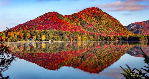 Parc des Laurentides, un soplo de aire fresco cerca de Quebec