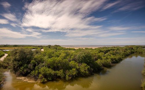 Una passeggiata nella riserva ornitologica di Le Teich