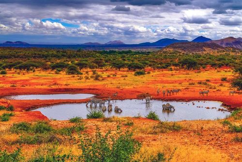 Ammirare l'immensità del Parco Tsavo