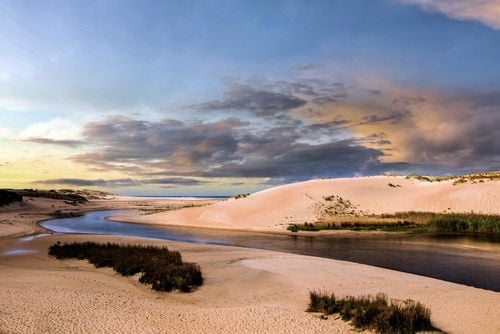 Connaissez-vous "la petite Amazonie des Landes" ? A 2h de Bordeaux, cette merveille naturelle est idéale pour une escapade printanière !