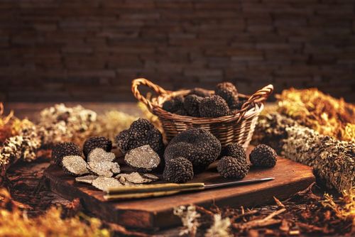 Avis aux amateurs de truffes, la saison est lancée ! Où trouver les meilleures en France ? (Pour préparer vos recettes de Noël)