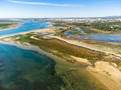 Visita alla laguna di Ria Formosa
