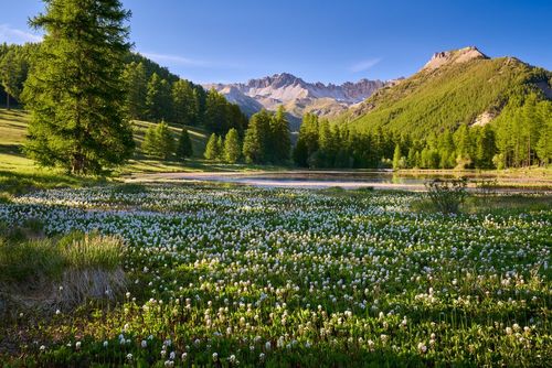 Avec ses lacs, ses montagnes et ses forêts, cette vallée des Alpes a des airs de paysages canadiens !  (A voir au moins une fois)
