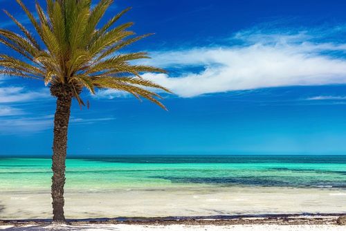On a repéré ce bon plan : partez à Djerba pour 7 jours et 6 nuits, avec vol + hôtel 4* all inclusif dès 438 € !