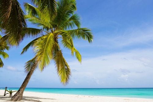 8 spiagge da sogno a Punta Cana