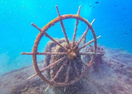 "Des trésors cachés sous l'eau !" Proche de la France ou à l'autre bout du monde, voici les plus beaux spots de plongée pour admirer des épaves incroyables !