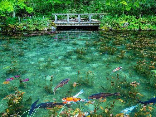 Au Japon, cet étang impressionne par sa ressemblance flagrante avec les tableaux de Monet, les Nymphéas !
