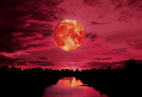 Une éclipse de Lune aura lieu le 14 mars ! Voici les meilleurs endroits pour l'observer en France et à l'étranger
