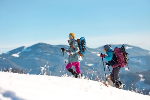 Vous partez en Savoie cet hiver ? Voici les 4 meilleures randonnées en raquettes à faire !