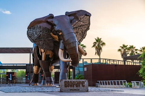 Vive la grandeza del reino animal en el Bioparc de Valencia