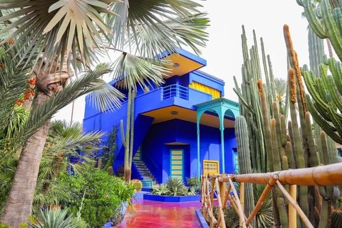 Le jardin Majorelle : un oasis de paix à Marrakech, où l'art et la nature se côtoient
