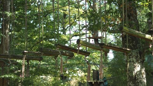 Il parco avventura di Cassis, l'attività perfetta per i bambini!