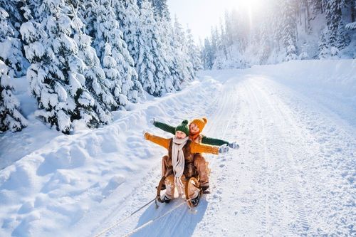 Europe’s must-go sledding destinations in 2024.