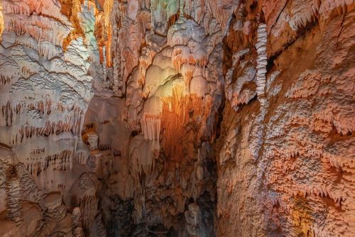 Aven Armand : une grotte spectaculaire à visiter en Lozère
